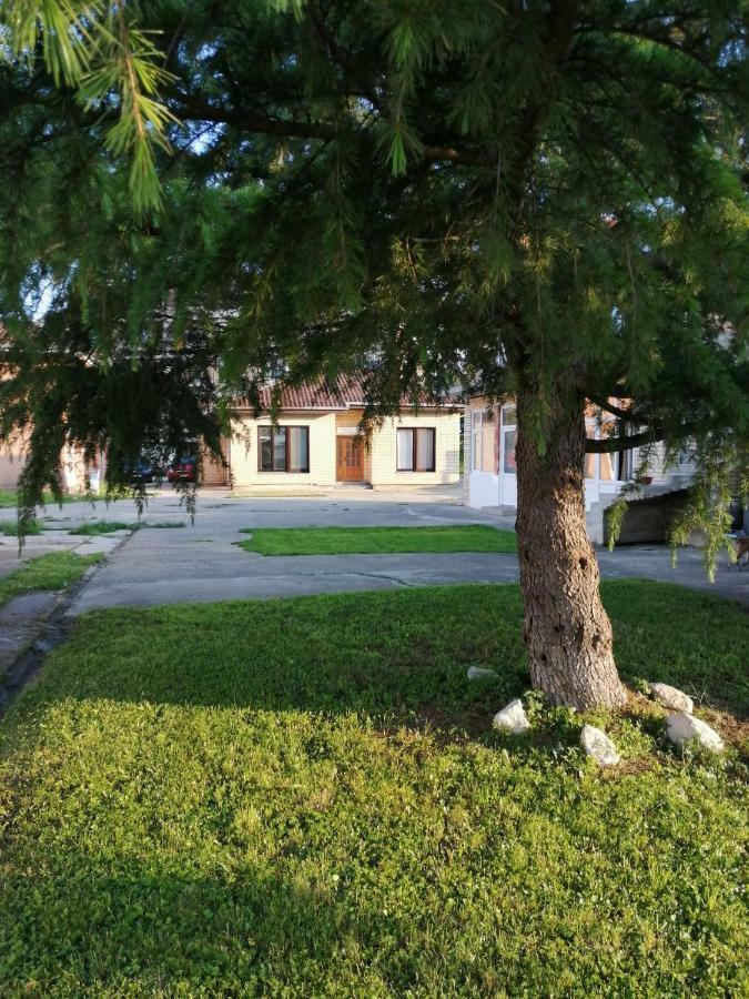 Apartman Studio Katarina Голубац Экстерьер фото